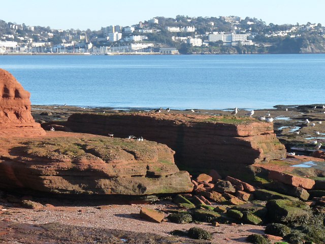 A view across some rocks over the water to the distant Torbay beach and seafront